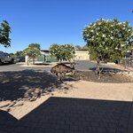 Photo taken by Amy Z