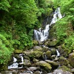 Photo taken by Carla T