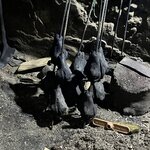 Photo taken by Beverly R