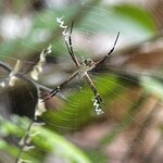 Photo taken by Martin L