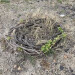 Photo taken by Bao Phuong L