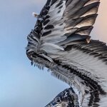 Photo taken by mindy n