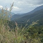 Photo taken by Paulette D