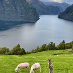 Photo taken by Anita H