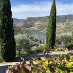 Photo taken by Vicki V