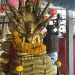 Photo taken by Thomas C