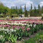 Photo taken by Audrey F