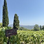 Photo taken by Kaitlyn O