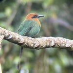 Photo taken by Heather R