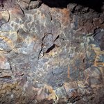 Photo taken by Johnna T