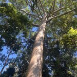 Photo taken by William F