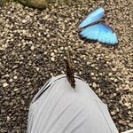 Photo taken by James B