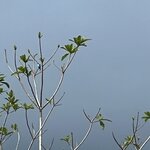 Photo taken by Deborah S