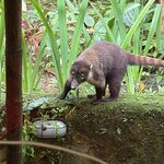 Photo taken by Mary K