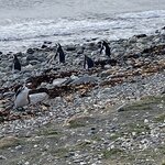 Photo taken by Carmen P