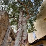 Photo taken by Margy C