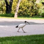 Photo taken by Daniel S