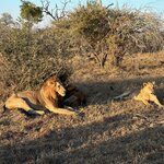 Photo taken by Tom B