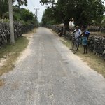 Narrow roads on Delft Is. | Photo taken by Sylvanna C