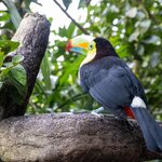 Photo taken by Jeffrey B