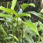 Photo taken by Alexia M