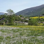 Photo taken by Valerie P