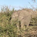 Photo taken by rhonda c