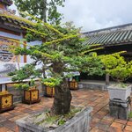 Photo taken by Sevi Y