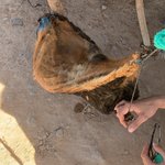 Photo taken by Rachel R