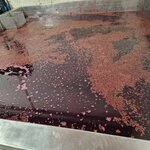 Photo taken by jenny G