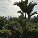 Photo taken by Randy H