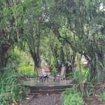 Photo taken by Dawne D