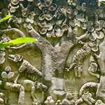 Photo taken by Lisa C