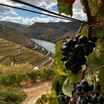 Photo taken by Allegra B