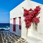 Photo taken by David B