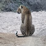 Photo taken by Tom B