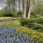 Photo taken by Shannon F