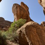 Photo taken by Della O