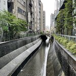 Photo taken by PADMABEN P