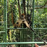 Photo taken by Natasha J