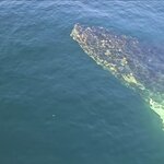 Photo taken by Stefani C