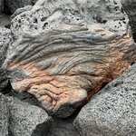 Photo taken by Catherine H