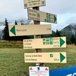 Photo taken by Irwin M