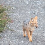 Photo taken by Raj M