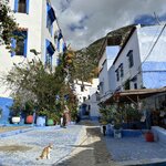 Photo taken by Betsy V