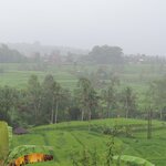 Photo taken by Matteo R