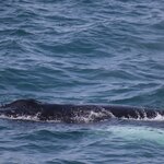 Photo taken by Amanda D