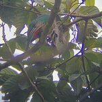 Photo taken by Joyce C