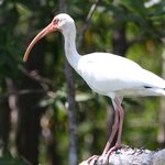 Photo taken by Joyce C