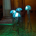 Photo taken by Sushma S